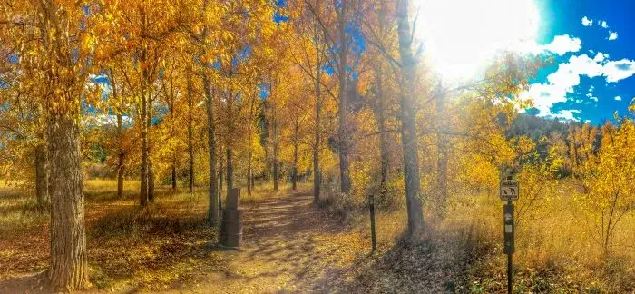 Fall in Colorado