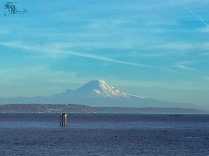 Looking at Mount Rainier in the distance.