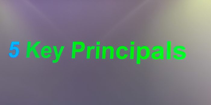 5 Key Principles